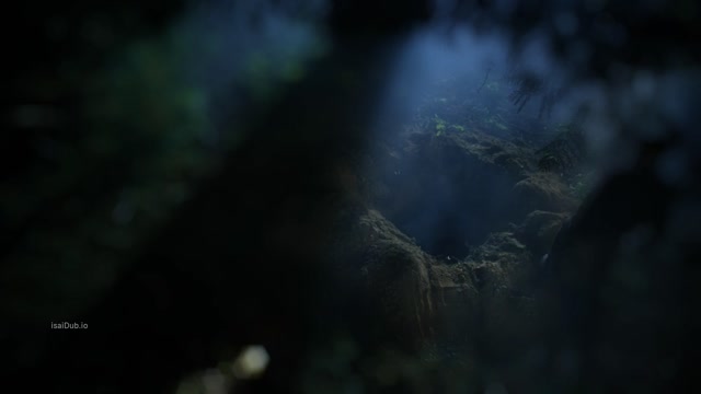 The Killer Downstairs 2019 Original 1080p HD.mp4