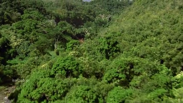 Anaconda 3 Offspring 2008 Original 360p HD.mp4
