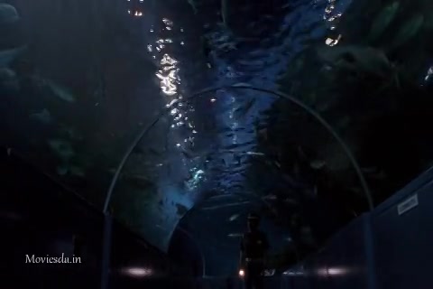 Godzilla Vs Destoroyah (1995) Sample (480x320).mp4