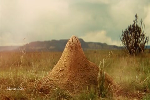 Indiana Jones (2008) HD (640x360).mp4