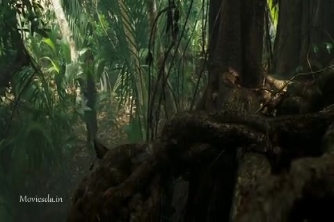 Pirates Of The Caribbean 2 (2006) Sample (480x320).mp4