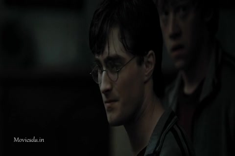 Harry Potter and The Deathly Hallows Part 1 (2010) Sample (480x320).mp4