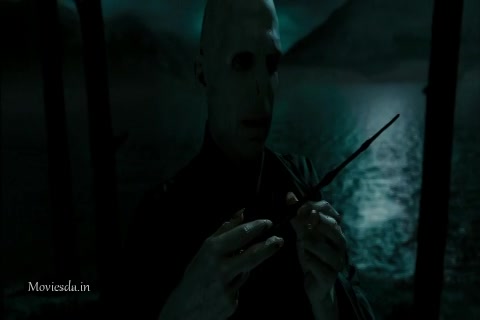 Harry Potter and The Deathly Hallows Part 2 (2011) HD (480x320).mp4