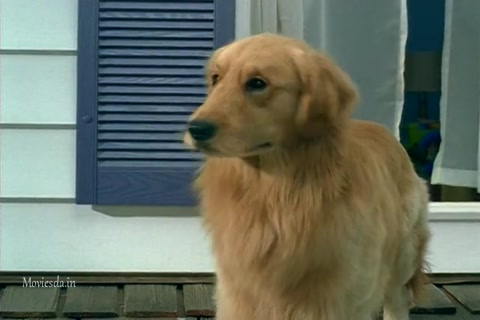 Air Buddies (2006) Sample (640x360).mp4