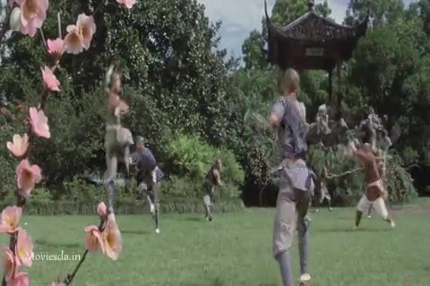 The Shaolin Temple (1982) Sample (480x320).mp4