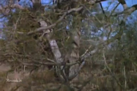 The Gods Must Be Crazy 2 (1989) HD (640x360).mp4