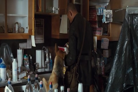 I Am Legend (2007) Sample (640x360).mp4