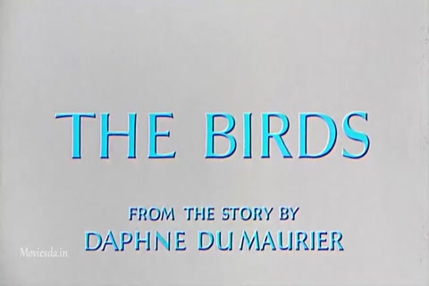 The Birds (1963) (640x360).mp4