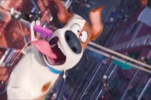 The Secret Life Of Pets HD Sample.mp4