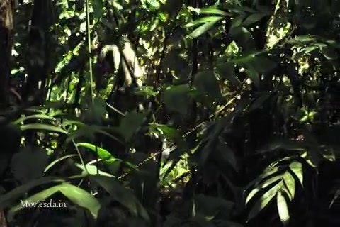 Jurassic Attack Sample.mp4