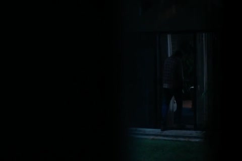 Fear The Walking Dead - Epi 3 - The Dog HD Sample.mp4
