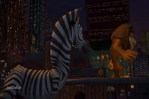 Madagascar 2005 HD Sample.mp4