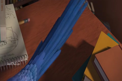 Rio 201 HD Sample.mp4