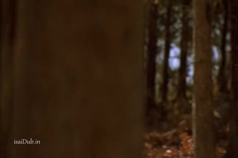 Cabin Fever 2002 Sample.mp4