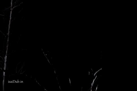 Dracula The Impaler 2013.mp4