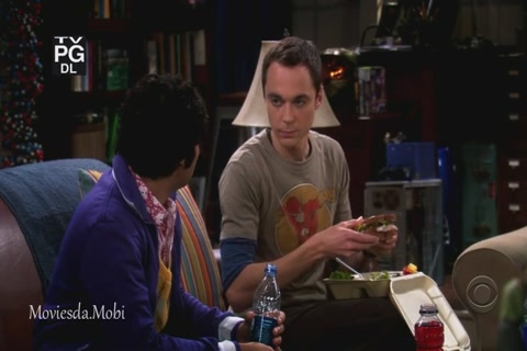 The Big Bang Theory Season 1 (Epi 14) HD.mp4