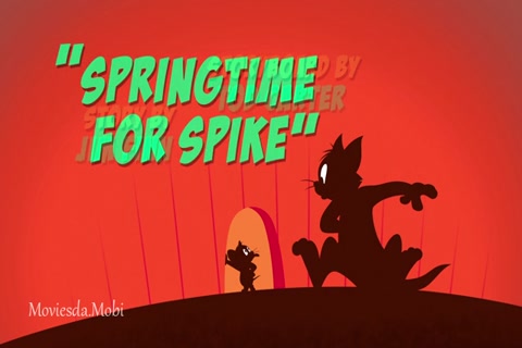 Tom and Jerry Season 03 (Epi 73 Springtime For Spike) HD.mp4
