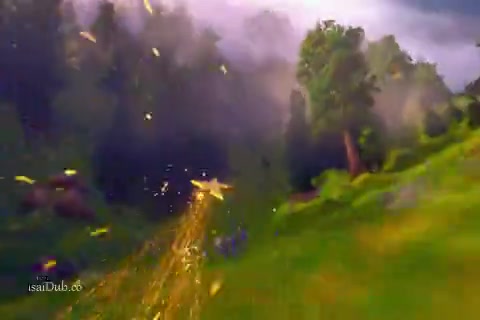 Sponge on the Run 2020.mp4