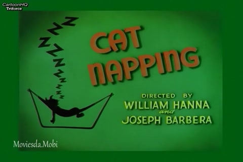 Cat Napping HD.mp4