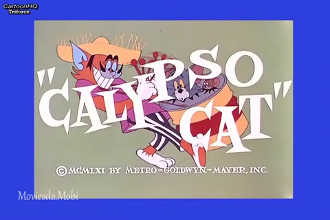 Calypso Cat HD.mp4