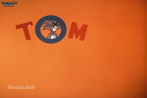 Filet Meow HD.mp4