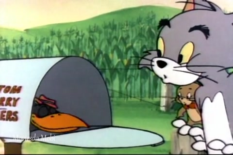 Double Trouble Crow HD.mp4