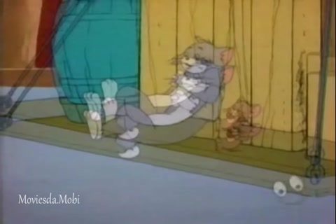 Cruise Kitty HD.mp4