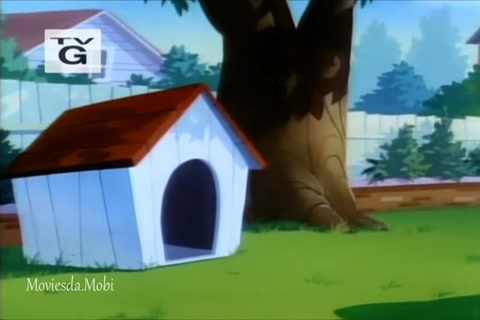 Dog Daze Afternoon HD.mp4