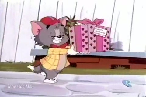 Birthday Surprise HD.mp4