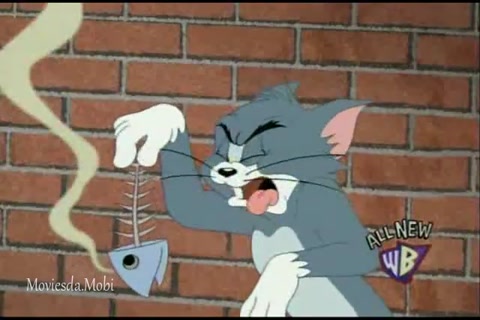 Cat Of Prey HD.mp4