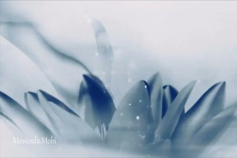 The Untamed Season 1 Episode 38 HD.mp4