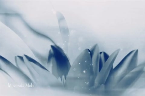 The Untamed Season 1 Episode 5 HD.mp4