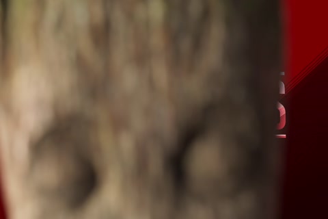 I Am Groot Season 01 (Epi 05).mp4