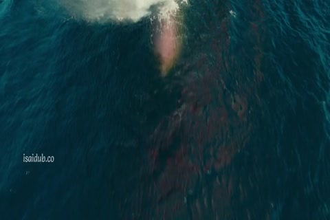 The Sunlit Night 2019 720p HD Sample.mp4