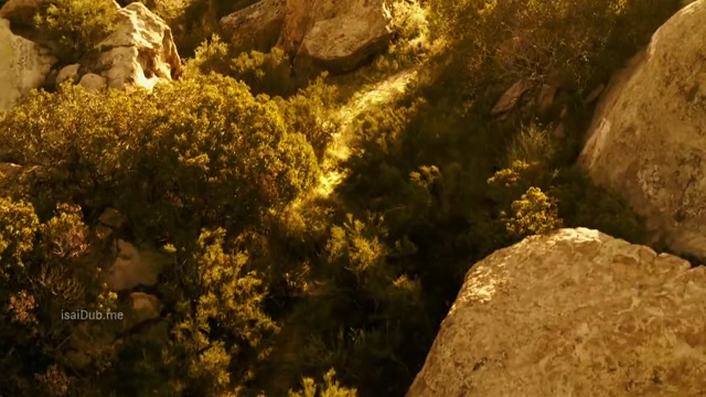 Shadow Wolves 2019 720p HD.mp4