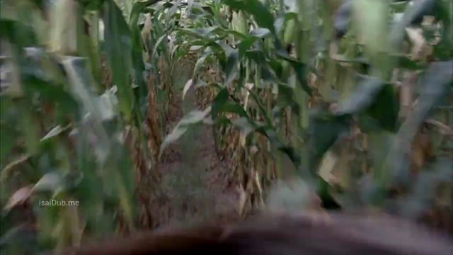 Scarecrow 2013 720p HD.mp4